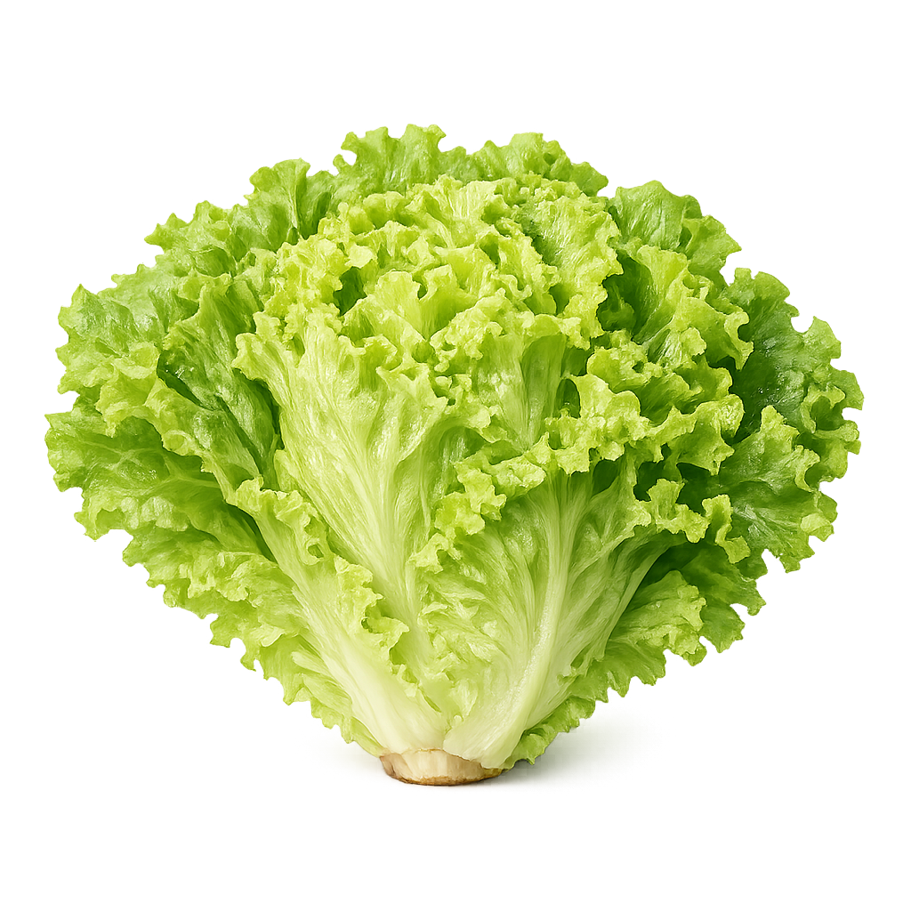 Alface